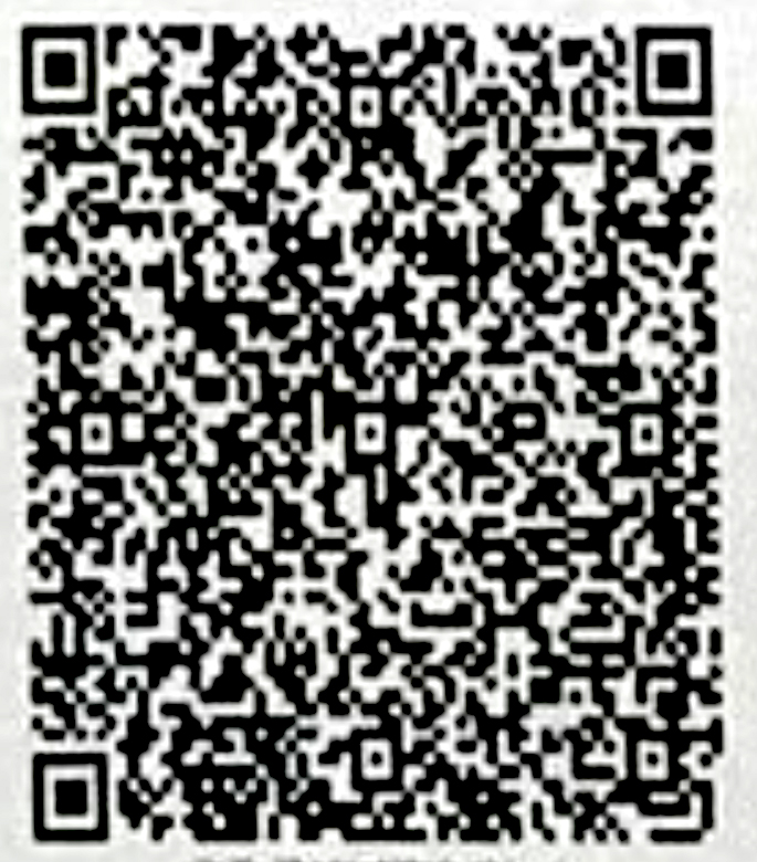 Google Pay QR Code